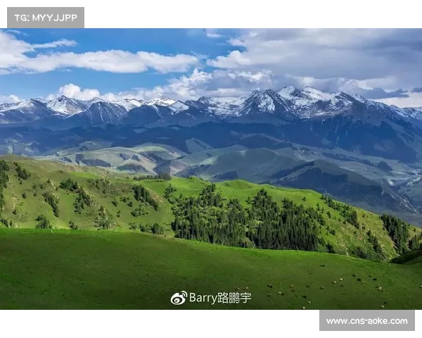 骑行库尔德宁获三等奖:车轮丈量天山秘境的生态史诗 骑行库尔德宁获三等奖:车轮丈量天山秘境的生态史诗